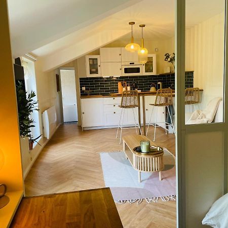 Appartement Chevremont เมซ์ ภายนอก รูปภาพ